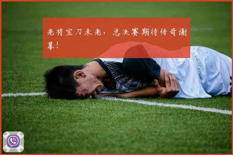 老将宝刀未老,总决赛期待传奇谢幕!