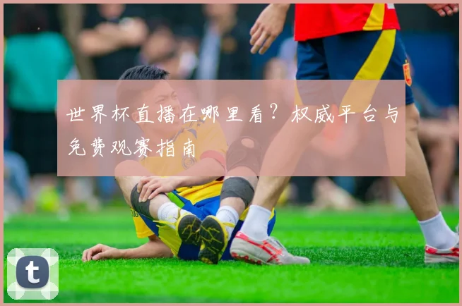 世界杯直播在哪里看?权威平台与免费观赛指南