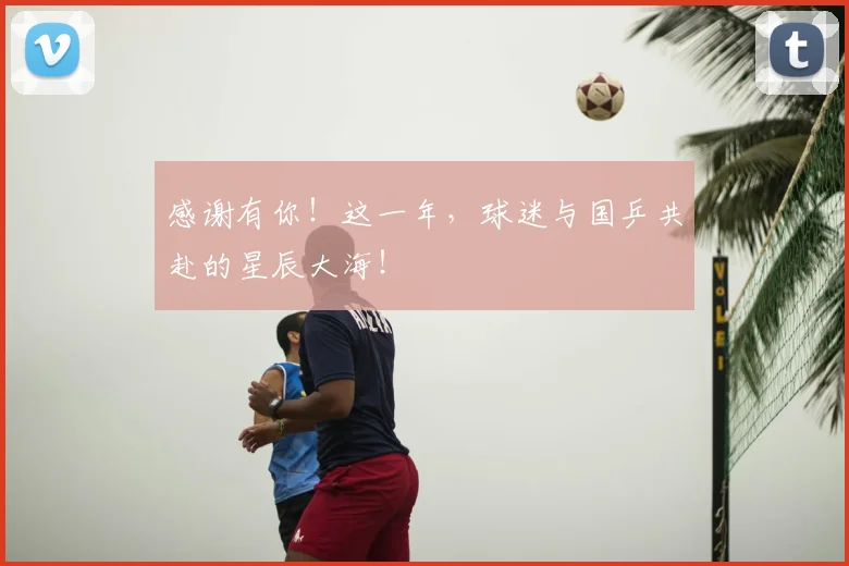 感谢有你！这一年，球迷与国乒共赴的星辰大海！