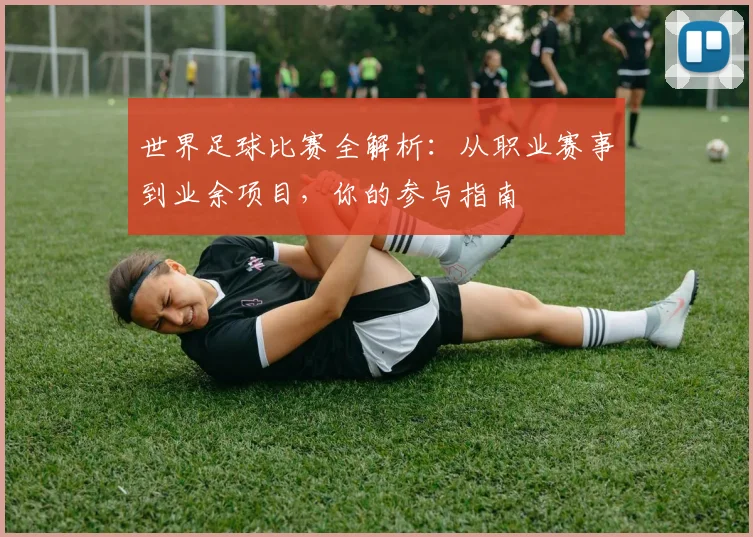 世界足球比赛全解析：从职业赛事到业余项目，你的参与指南